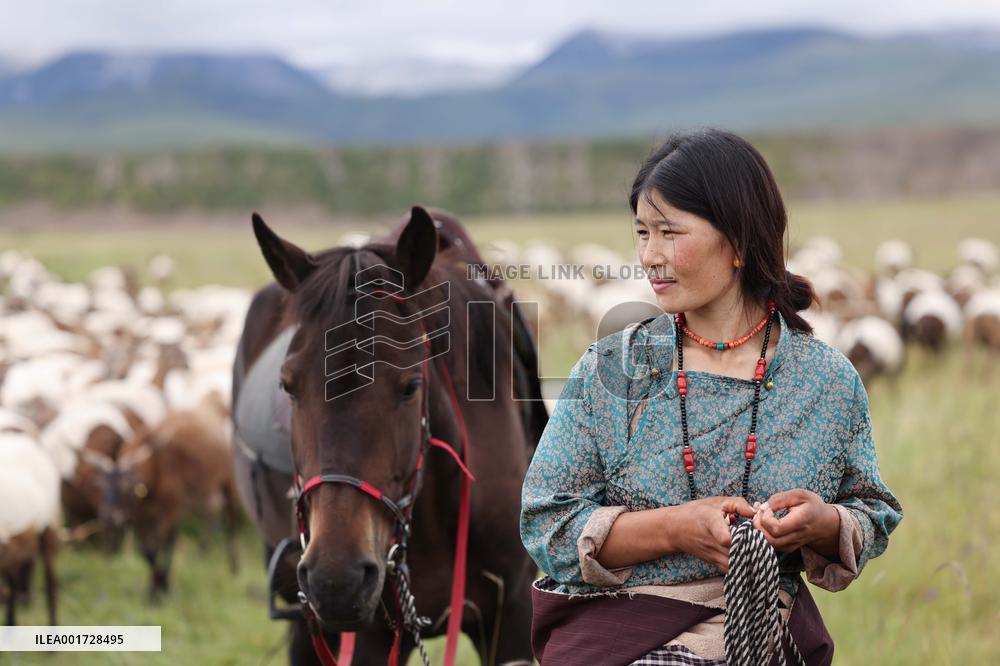 CHINA-QINGHAI-GRASSLAND-SHEPHERD FAMILY (CN)