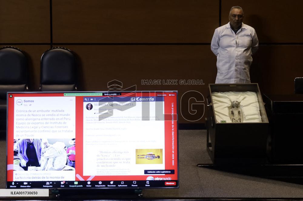 Scientists Call Fraud On Supposed Extraterrestrials Presented To Mexican Congress