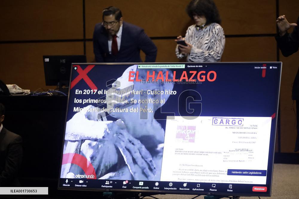 Scientists Call Fraud On Supposed Extraterrestrials Presented To Mexican Congress