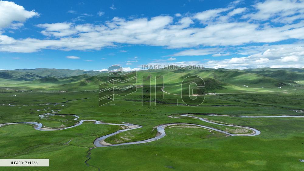 CHINA-GANSU-GANNAN-MAQU WETLANDS-CONSERVATION-RESTORATION (CN)