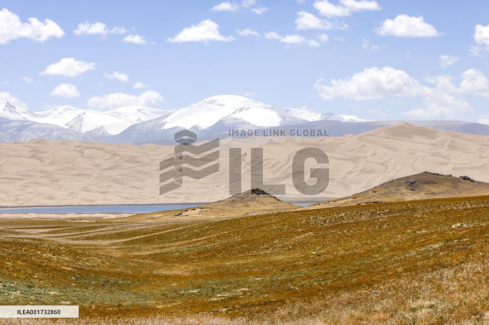CHINA-XINJIANG-ALTUN MOUNTAINS-NATURE RESERVE (CN)
