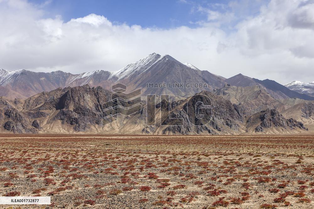 CHINA-XINJIANG-ALTUN MOUNTAINS-NATURE RESERVE (CN)