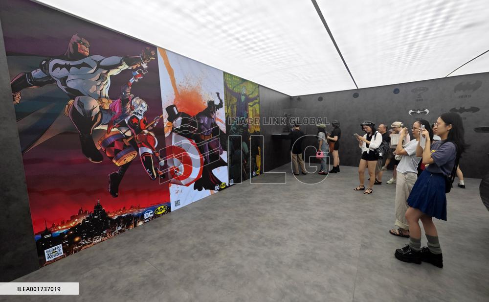 Chinese DC Comics Fans Celebrate Batman Day in Shanghai