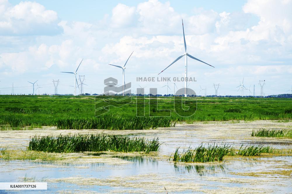 CHINA-NORTHEASTERN PROVINCES-CLEAN ENERGY (CN)