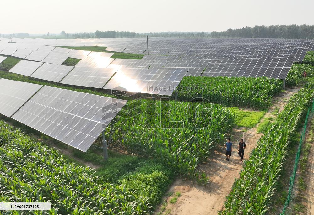 CHINA-NORTHEASTERN PROVINCES-CLEAN ENERGY (CN)