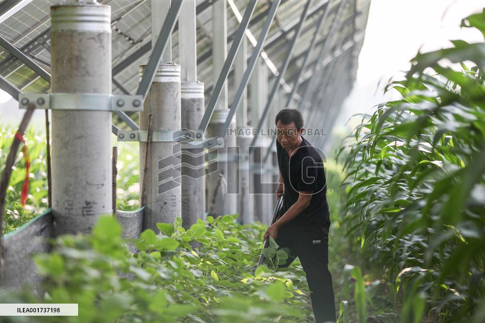 CHINA-NORTHEASTERN PROVINCES-CLEAN ENERGY (CN)