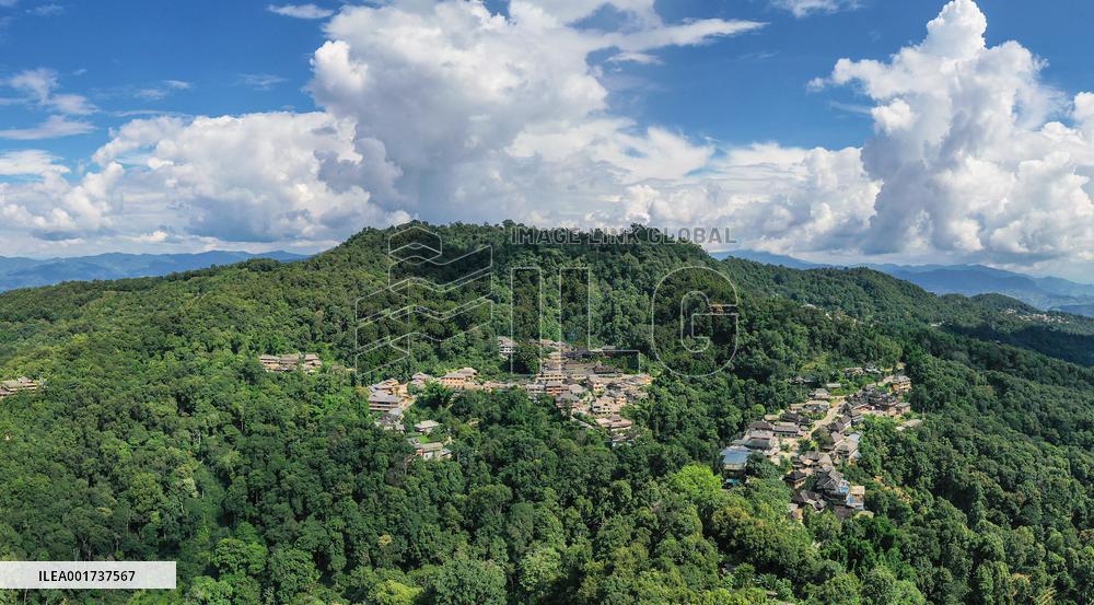 CHINA-YUNNAN-PU'ER-OLD TEA FORESTS-WORLD HERITAGE SITE (CN)