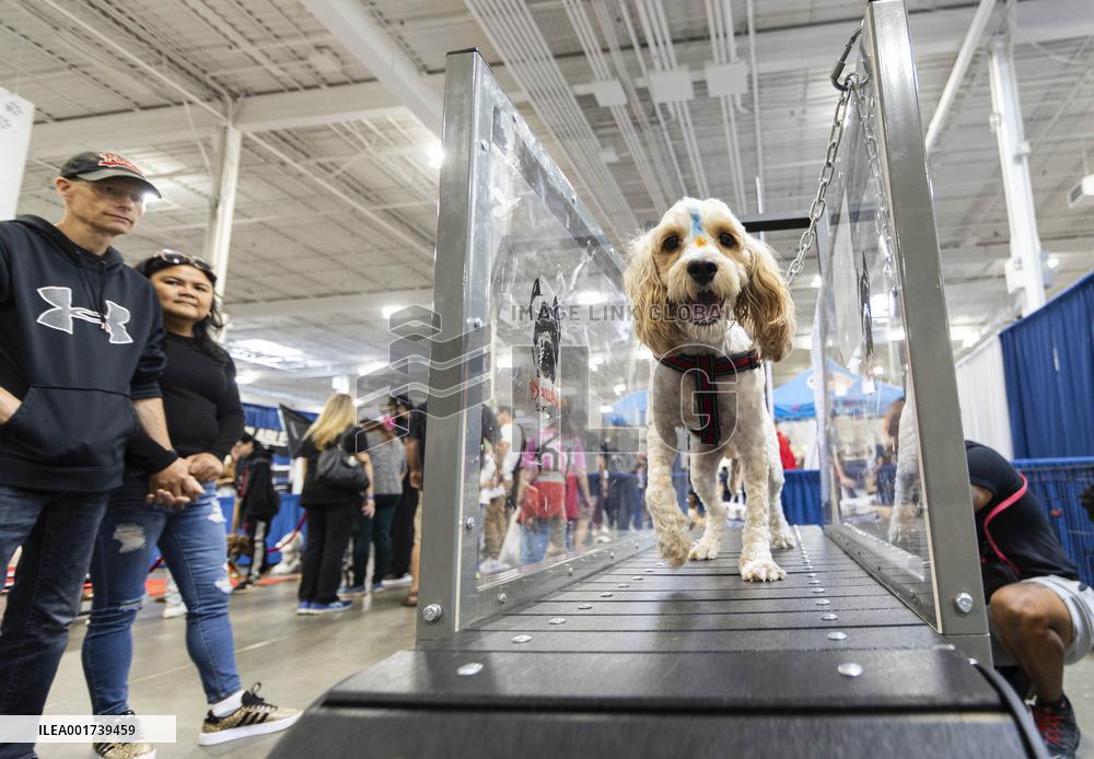 CANADA-MISSISSAUGA-PET EXPO