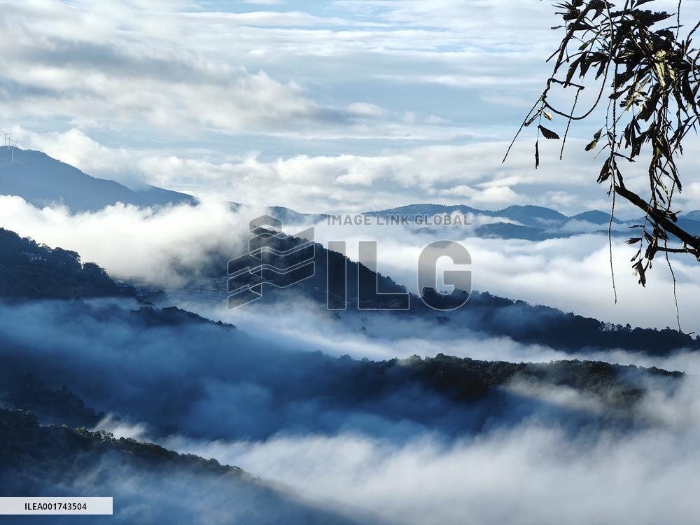 CHINA-YUNNAN-PU'ER-OLD TEA FORESTS-WORLD HERITAGE SITE-MODERN LIFE (CN)