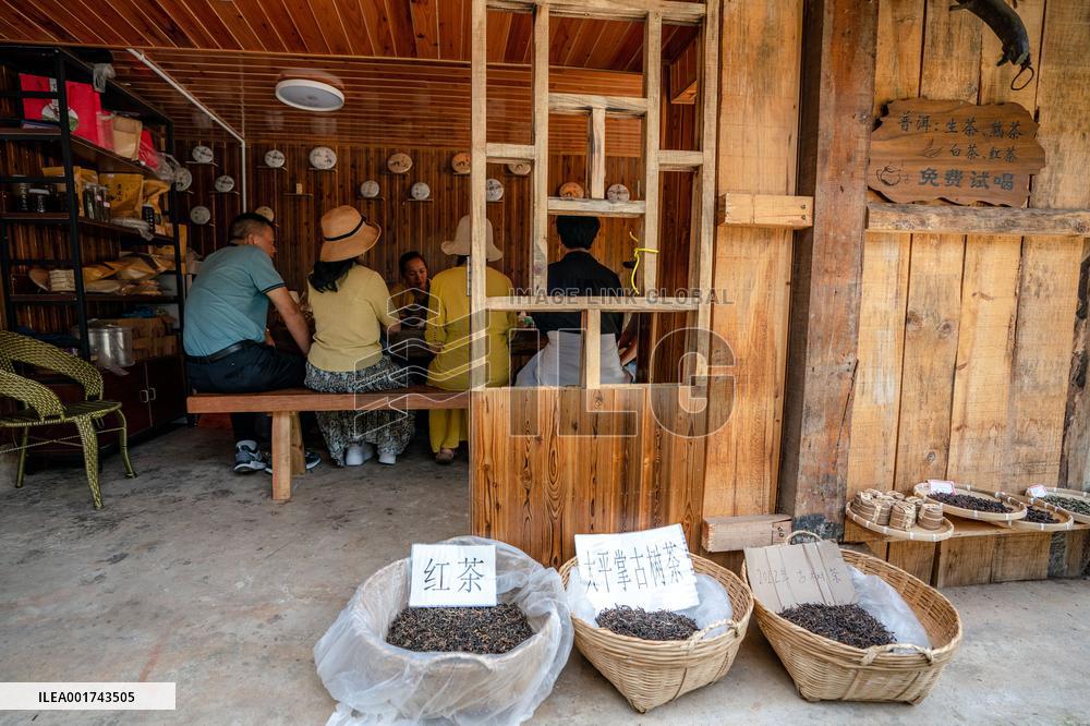 CHINA-YUNNAN-PU'ER-OLD TEA FORESTS-WORLD HERITAGE SITE-MODERN LIFE (CN)