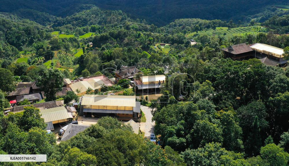 (SKYEYE) CHINA-YUNNAN-PU'ER-OLD TEA FOREST-AERIAL VIEW (CN)