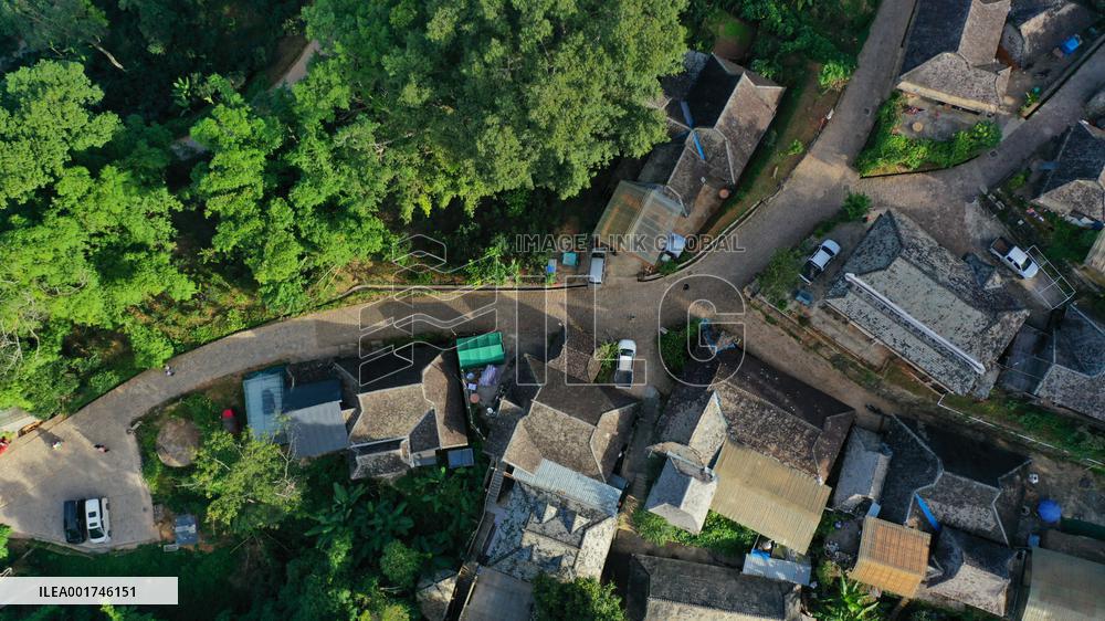 (SKYEYE) CHINA-YUNNAN-PU'ER-OLD TEA FOREST-AERIAL VIEW (CN)