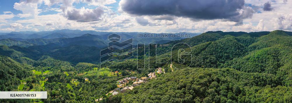 (SKYEYE) CHINA-YUNNAN-PU'ER-OLD TEA FOREST-AERIAL VIEW (CN)