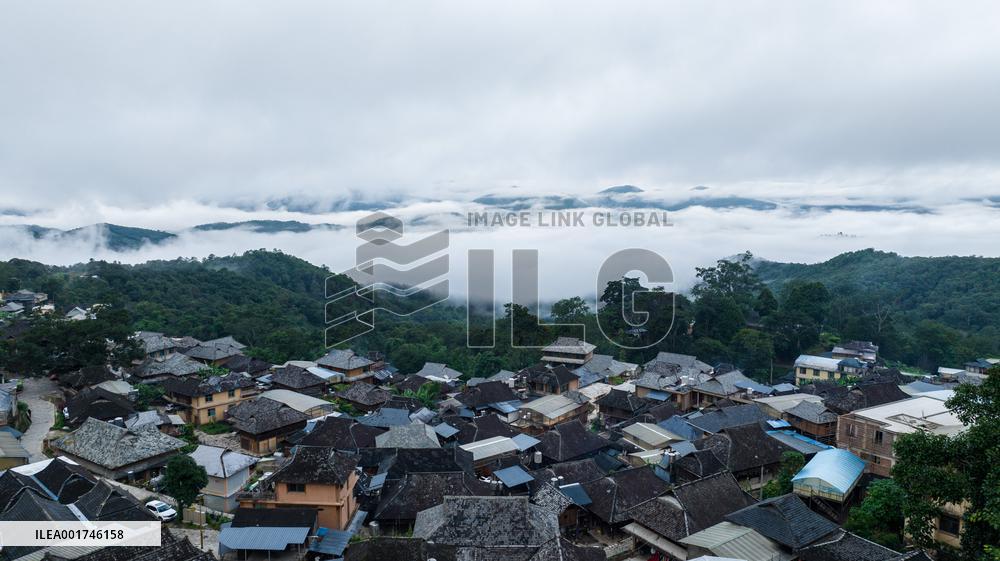 (SKYEYE) CHINA-YUNNAN-PU'ER-OLD TEA FOREST-AERIAL VIEW (CN)