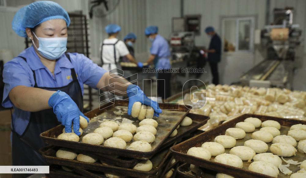 China Manufacturing Industry Mooncakes