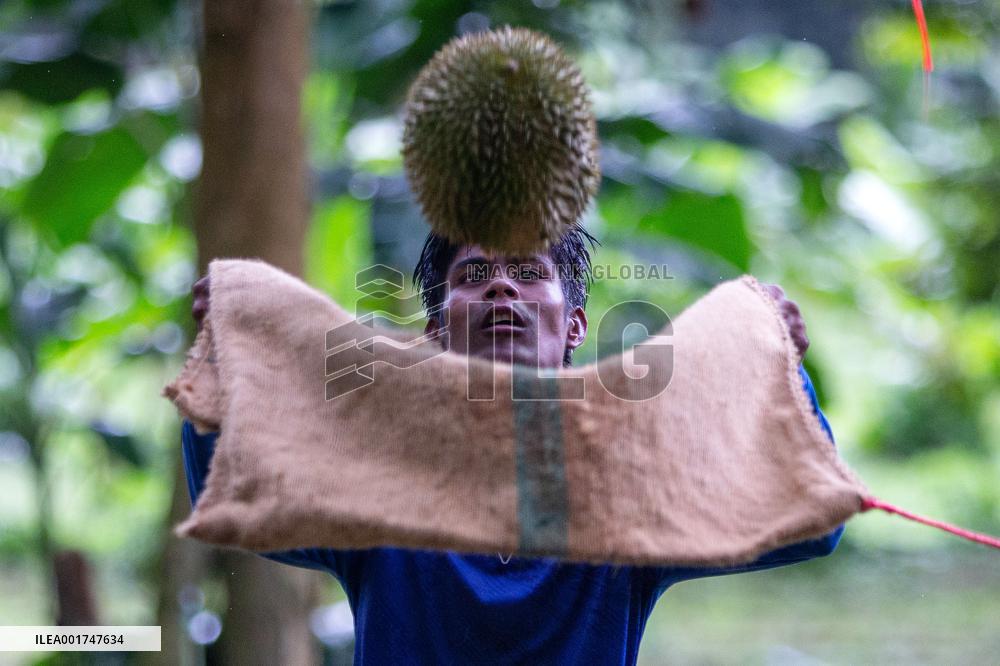 THAILAND-VIETNAM-CHINA-RCEP-DURIAN TRADE