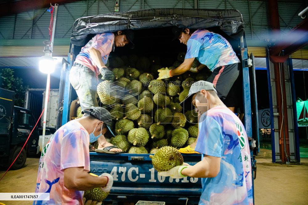 THAILAND-VIETNAM-CHINA-RCEP-DURIAN TRADE