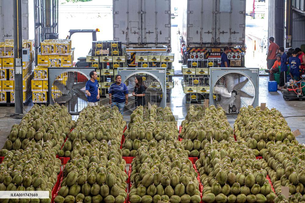 THAILAND-VIETNAM-CHINA-RCEP-DURIAN TRADE