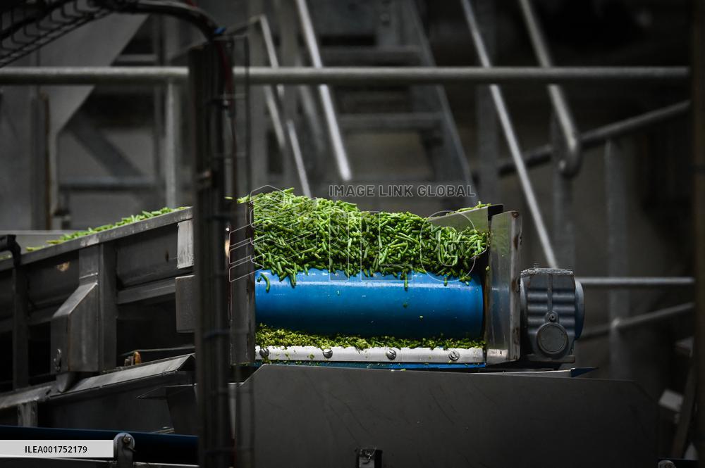 Canned Vegetable Processing Site - Brittany