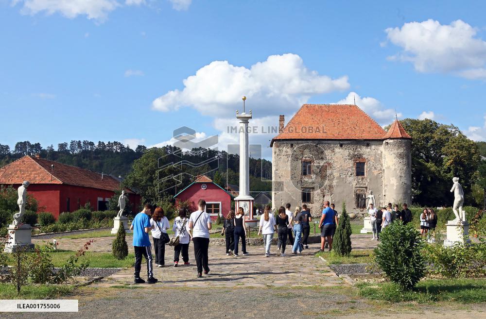 Chynadiiovo Castle