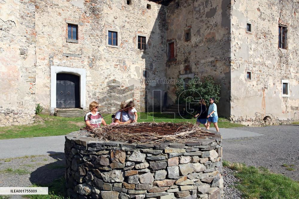 Chynadiiovo Castle