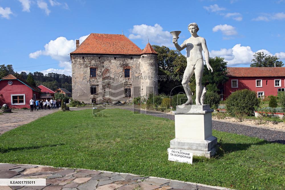 Chynadiiovo Castle