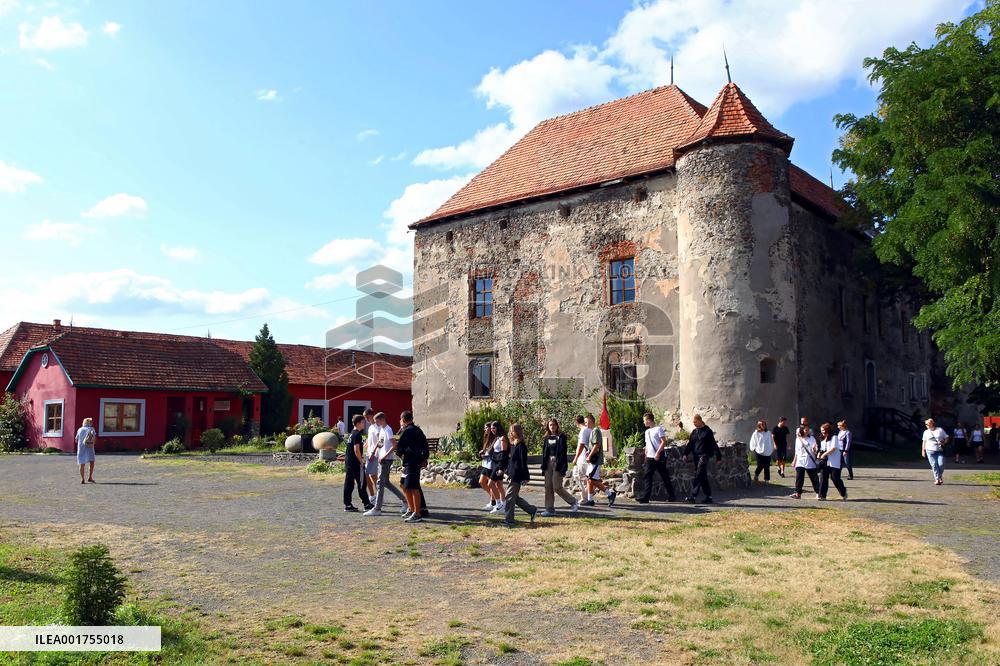Chynadiiovo Castle
