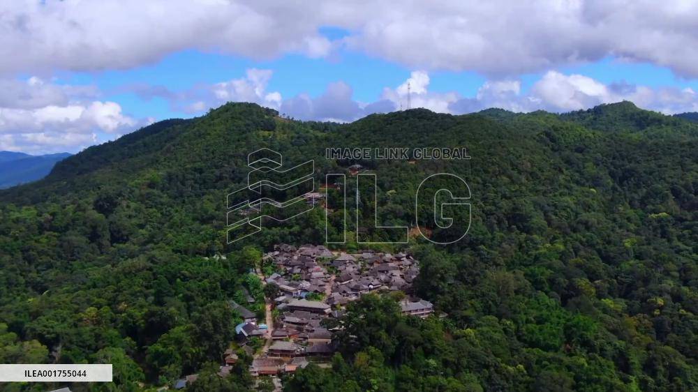 China's rainforest preservation in eyes of French entrepreneur