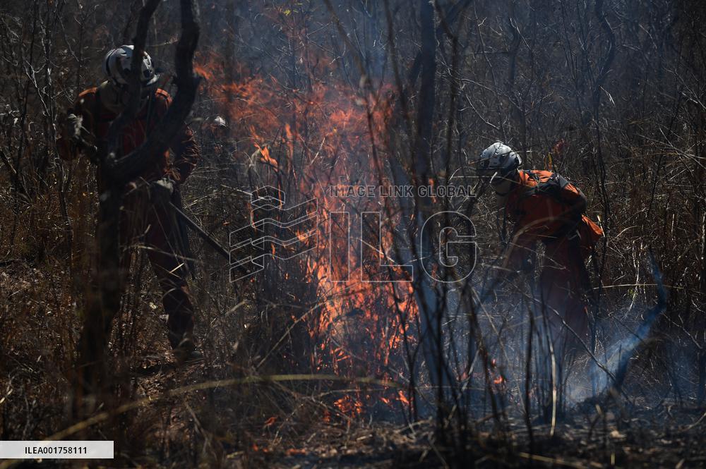 BRAZIL-BAHIA-FOREST FIRE