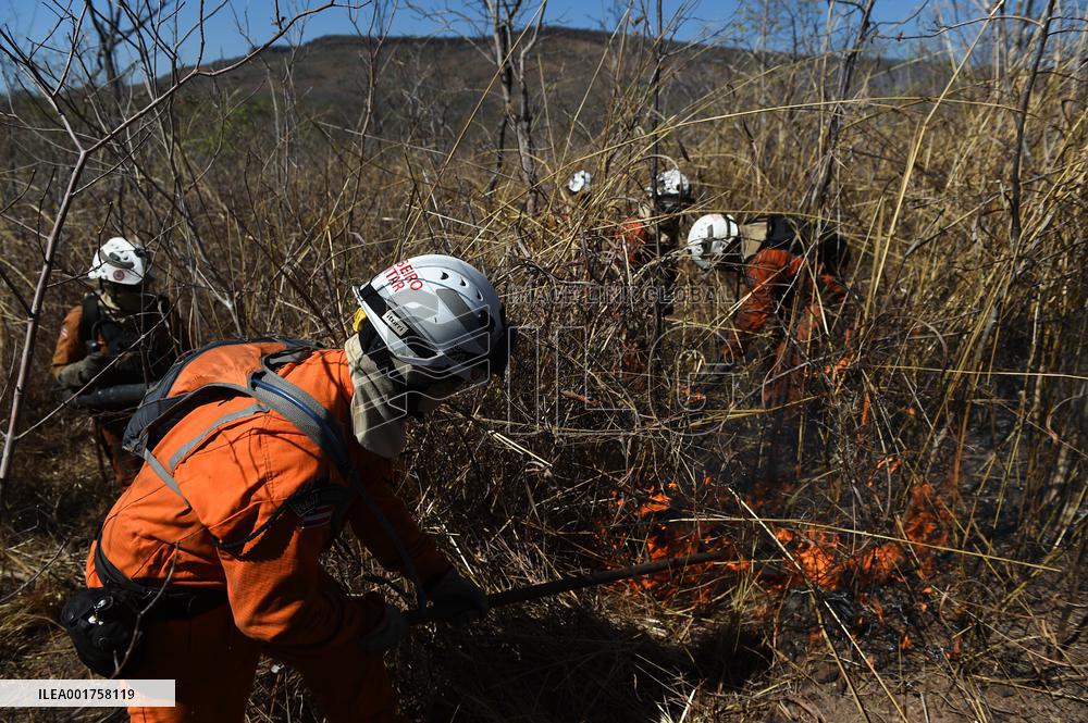 BRAZIL-BAHIA-FOREST FIRE