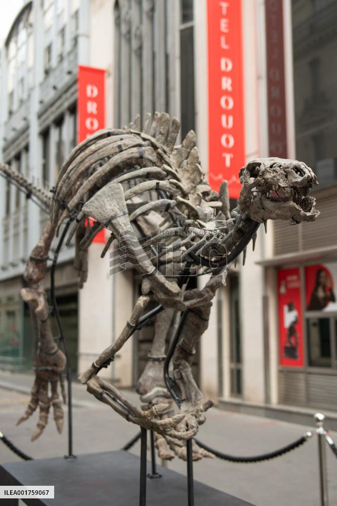 Drouot BARRY