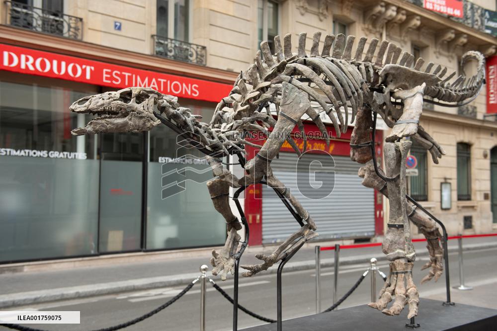 Drouot BARRY