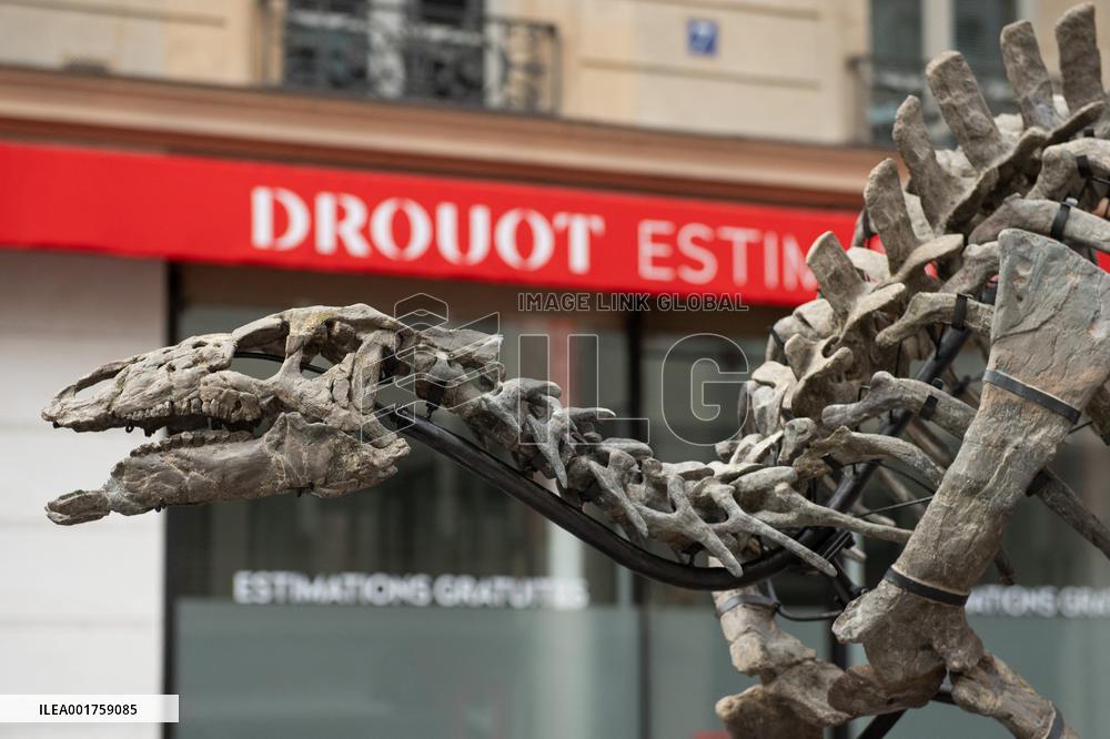 Drouot BARRY