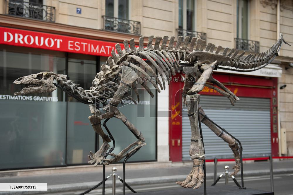 Drouot BARRY