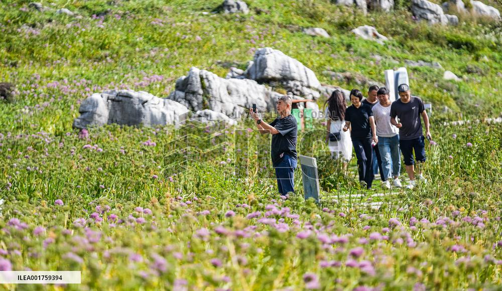 CHINA-GUIZHOU-LIUPANSHUI-LEEK FLOWER-TOURISM (CN)