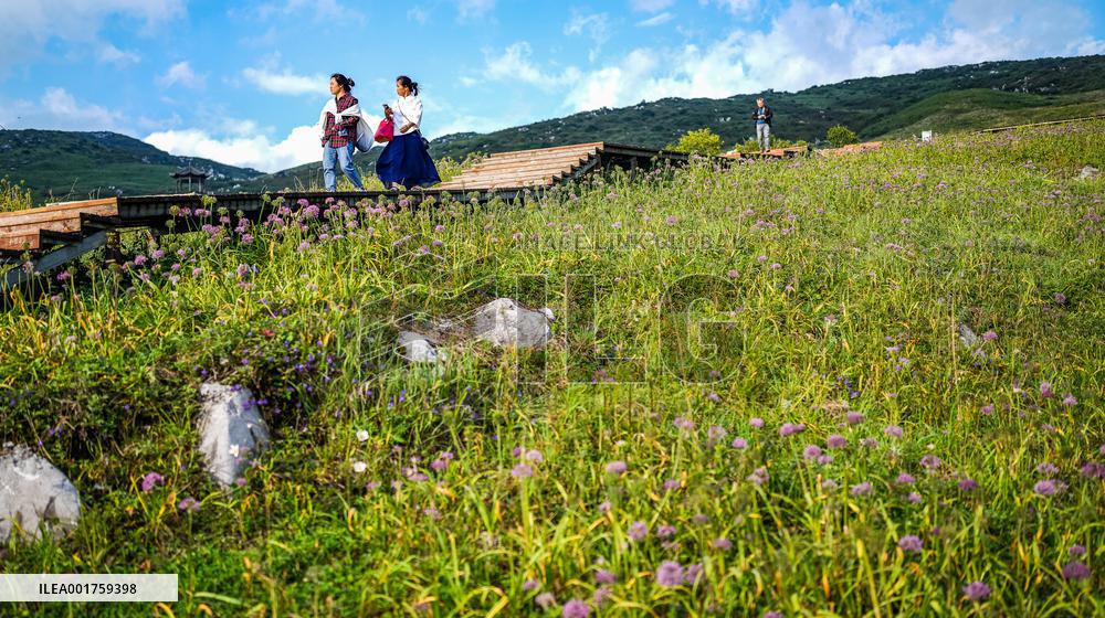 CHINA-GUIZHOU-LIUPANSHUI-LEEK FLOWER-TOURISM (CN)