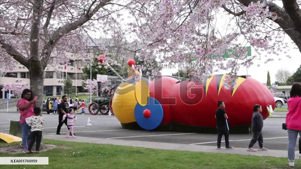 Hastings Blossom Parade attracts tens of thousands in New Zealand