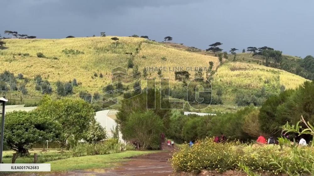 Kenya-China agricultural cooperation aiding hunger fight, rural transformation