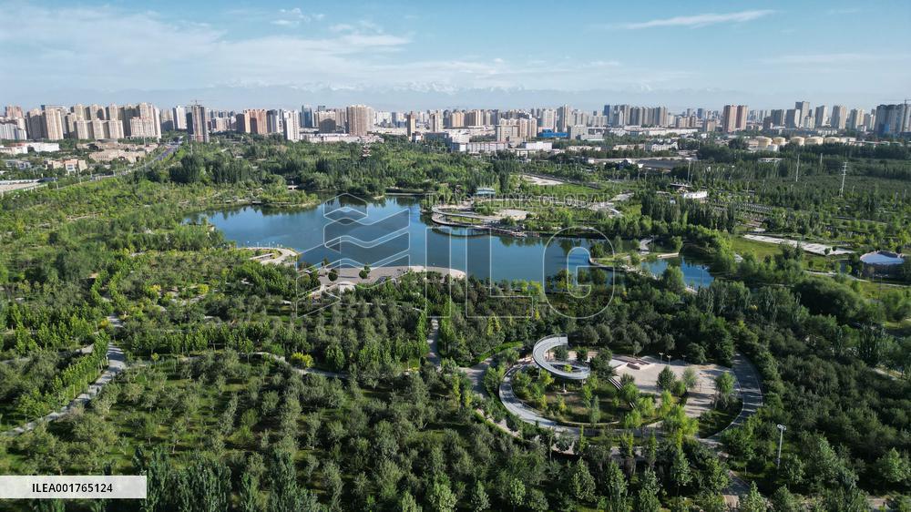Xinhua Headlines: Green miracle in China's largest desert