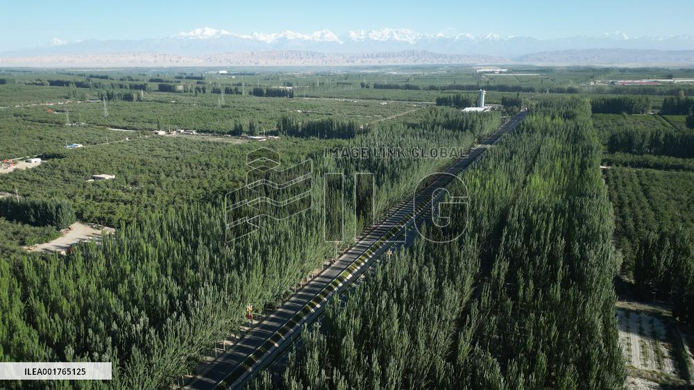 Xinhua Headlines: Green miracle in China's largest desert