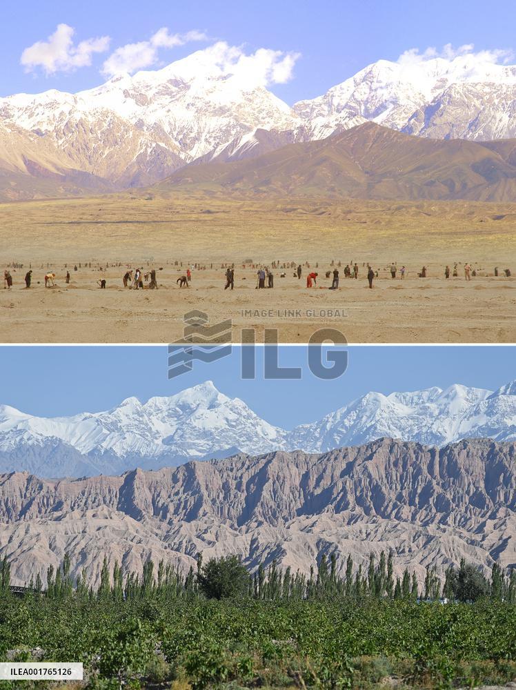Xinhua Headlines: Green miracle in China's largest desert