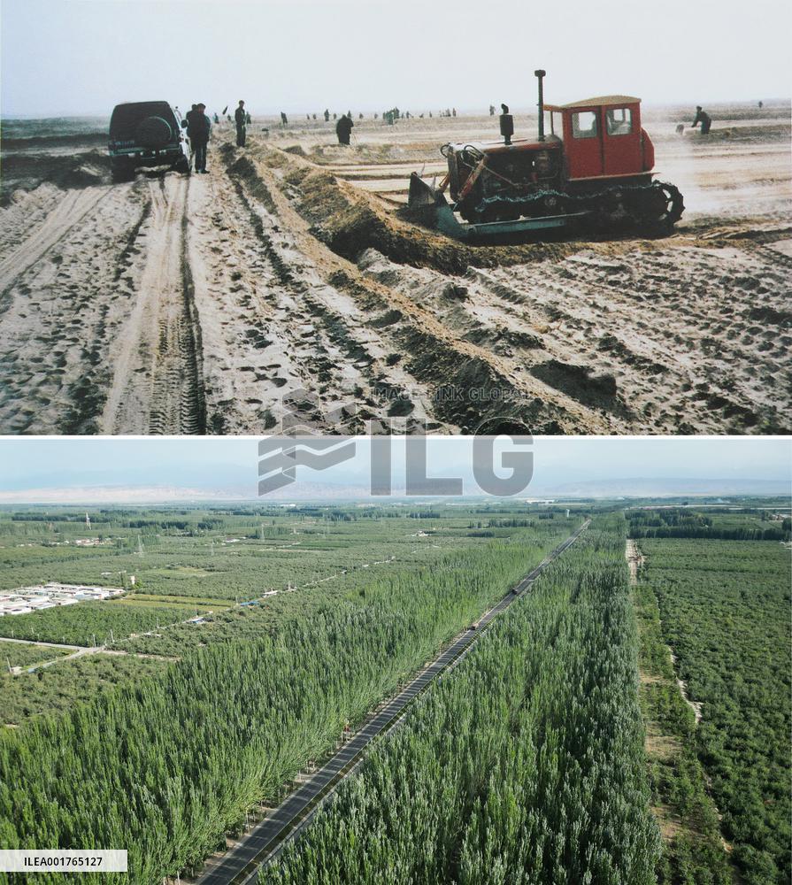 Xinhua Headlines: Green miracle in China's largest desert