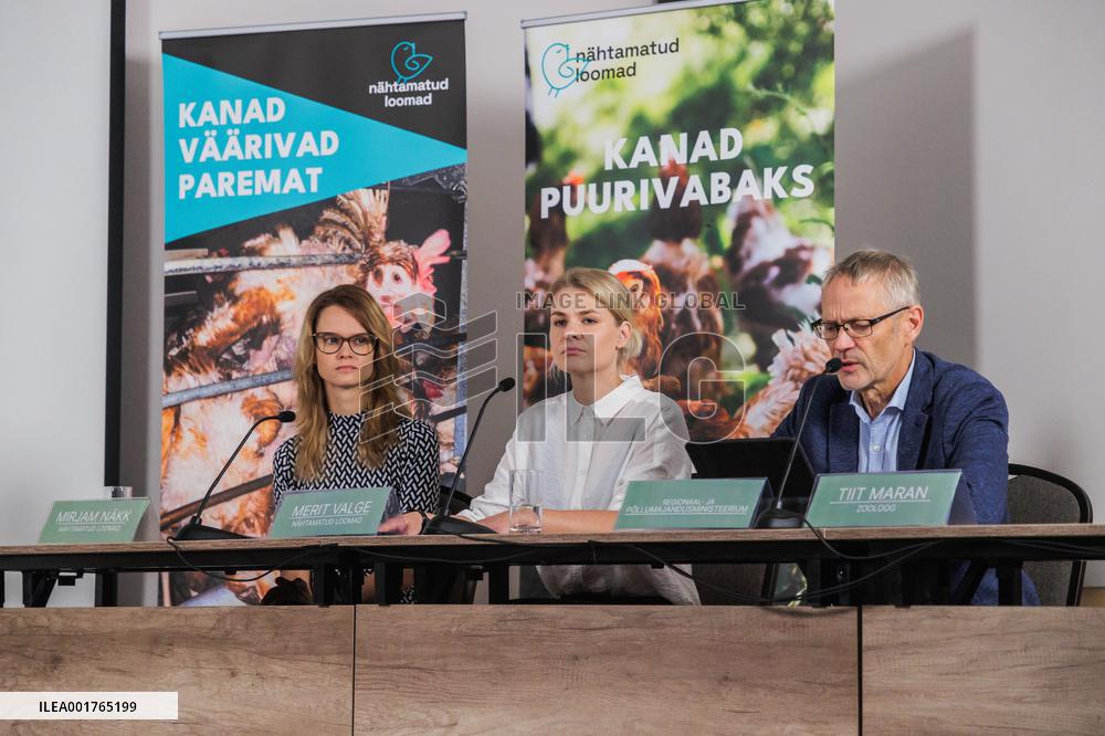 Animal protection organization invisible animals