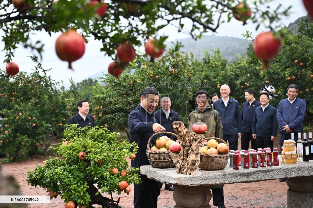 CHINA-SHANDONG-ZAOZHUANG-XI JINPING-INSPECTION(CN)