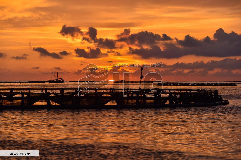 CHINA-GUANGDONG-ZHANJIANG-AQUACULTURE PLATFORM (CN)