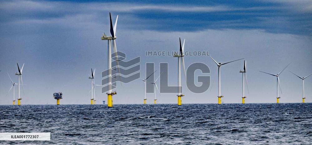 Offshore Wind Farm - Netherlands