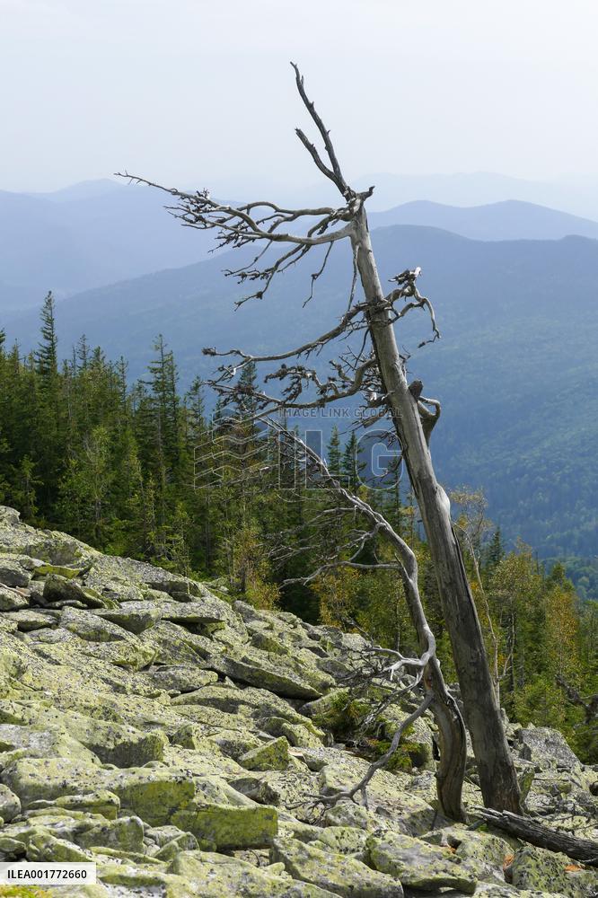 Gorgany mountain range in Ivano-Frankivsk Region