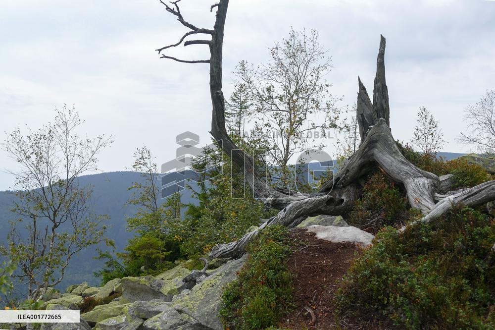 Gorgany mountain range in Ivano-Frankivsk Region