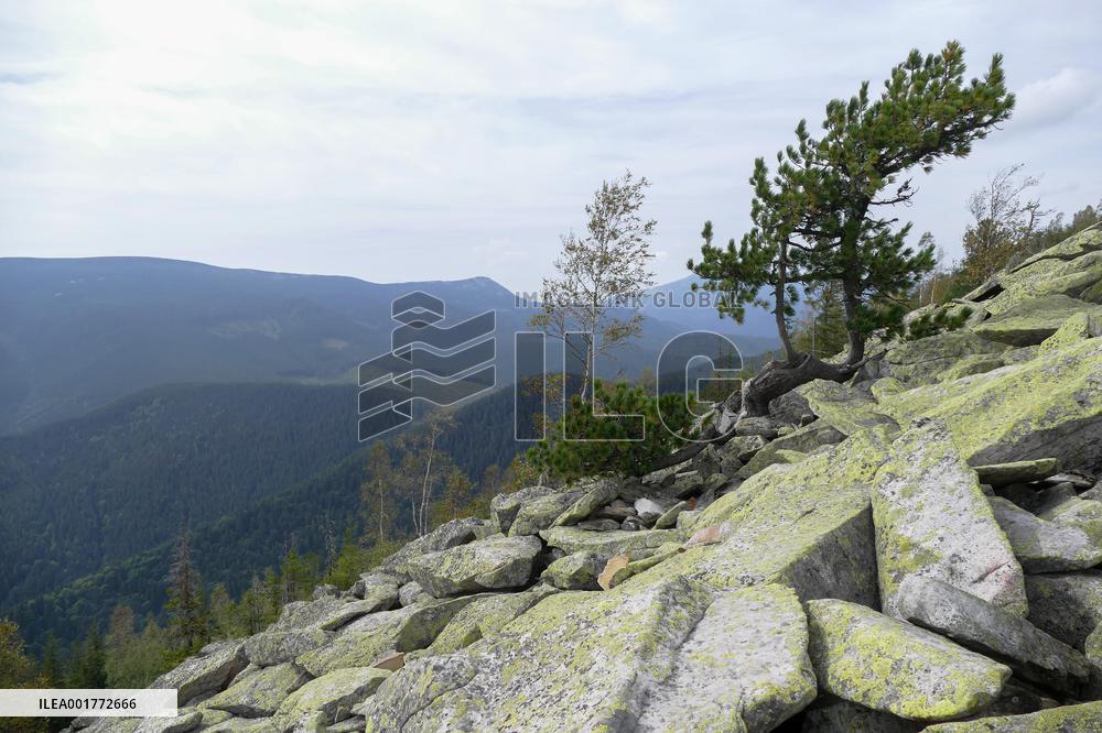 Gorgany mountain range in Ivano-Frankivsk Region