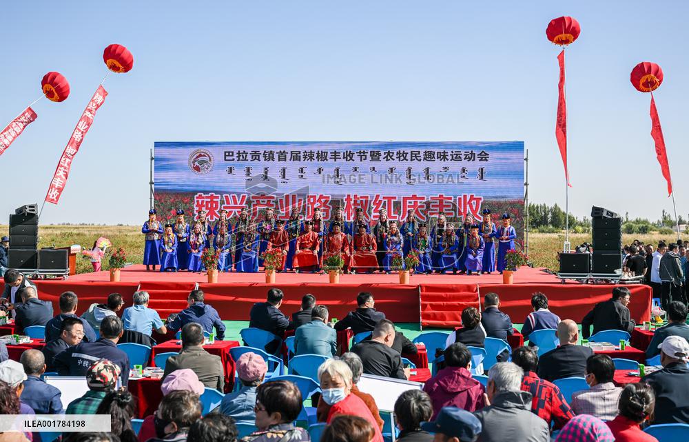 CHINA-INNER MONGOLIA-CHILI PEPPER-HARVEST (CN)